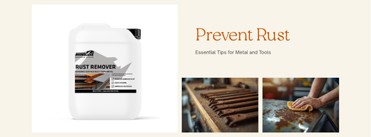 How to prevent rust on metal and tools Rhinoluxe SA