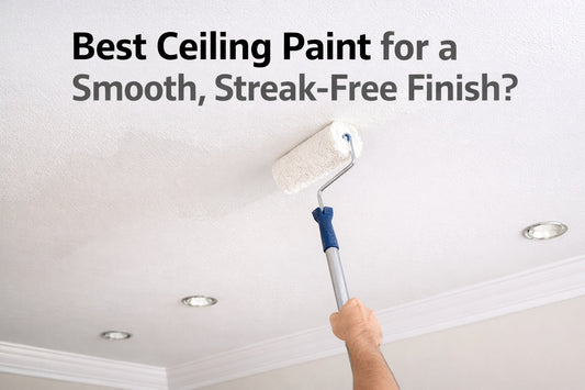 Best Ceiling Paint