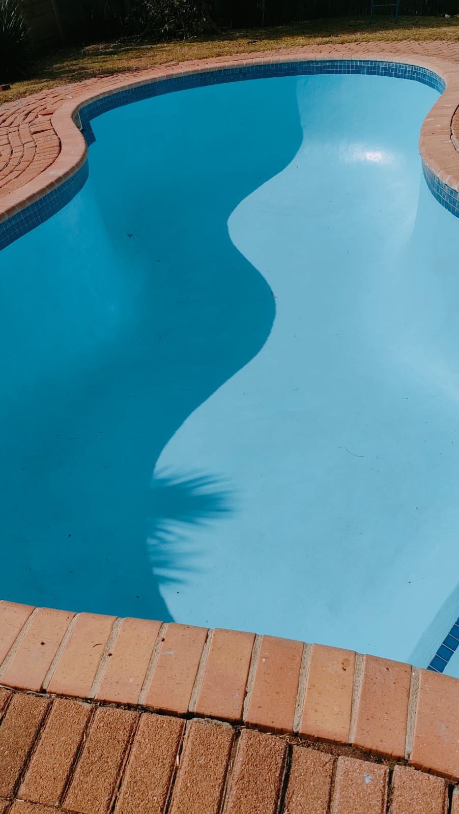 A curved swimming pool with bright blue water, surrounded by reddish-brown brick coping and a dark grassy background.