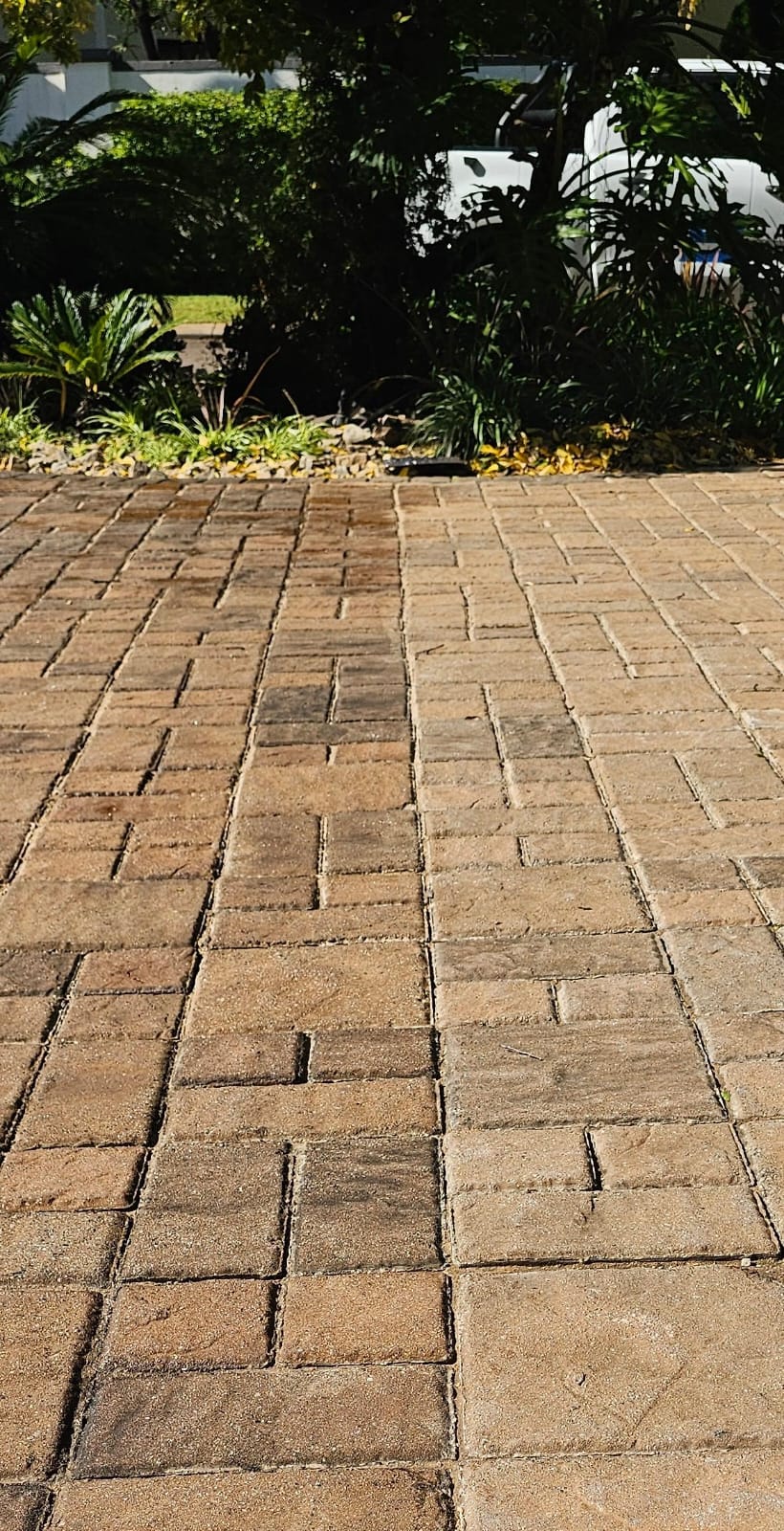 Before and after comparison of brick driveway with Rhinoluxe Stone Sealer showing colour enhancement