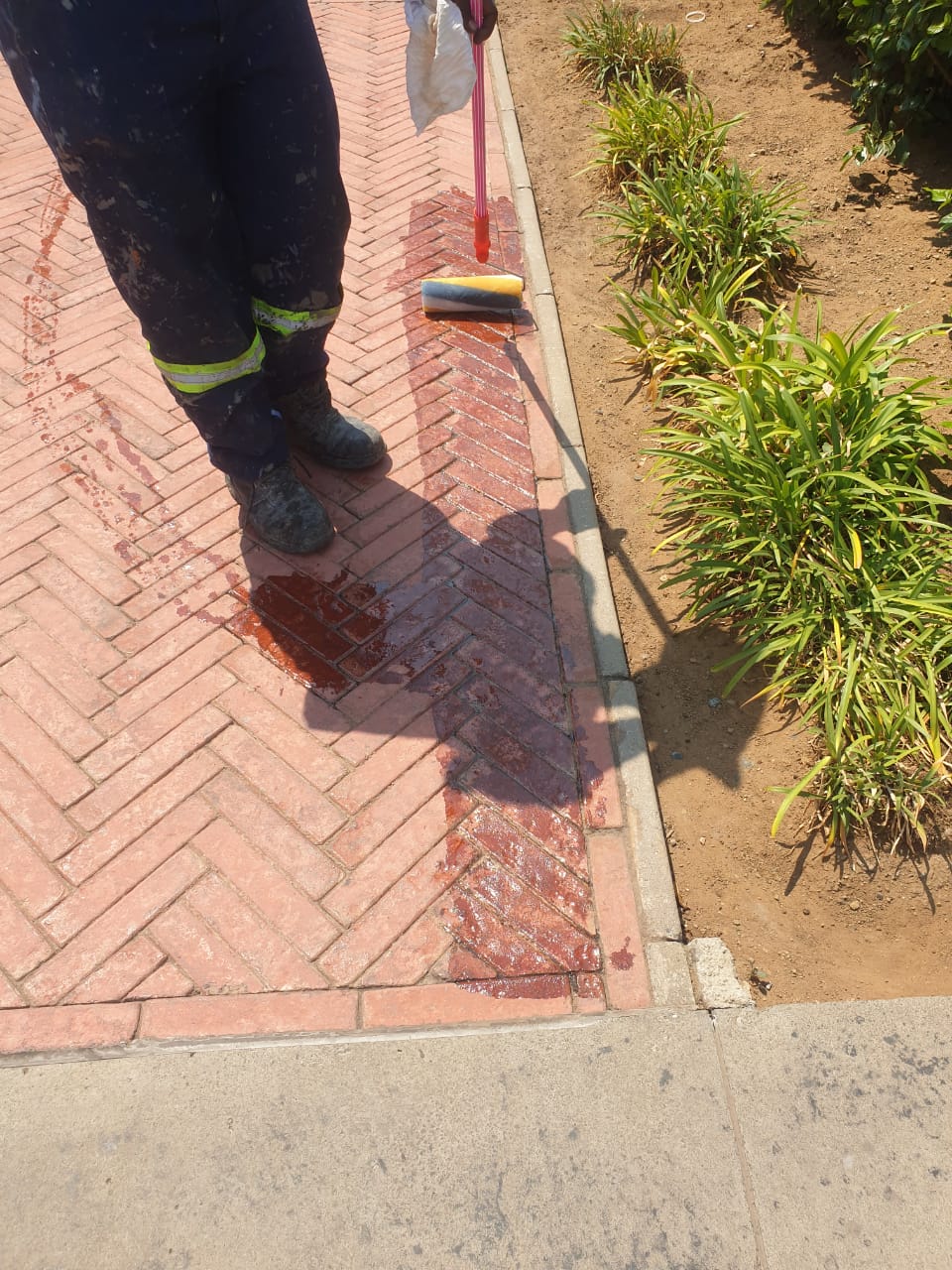 Stone Sealer roller application on red brick pavers showing wet satin finish coverage