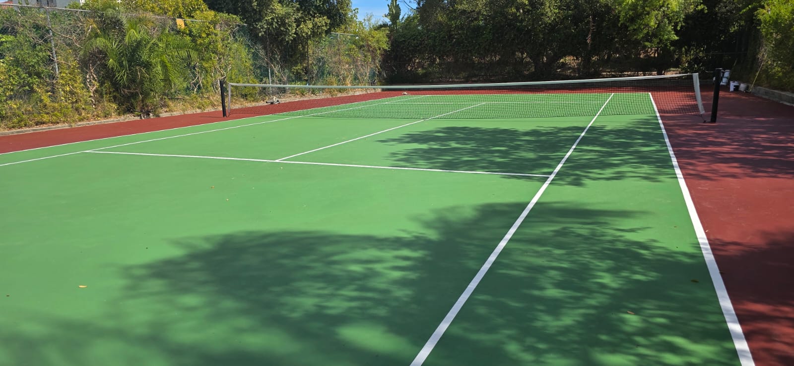 Tennis court with green surface and red border, surrounded by trees.
